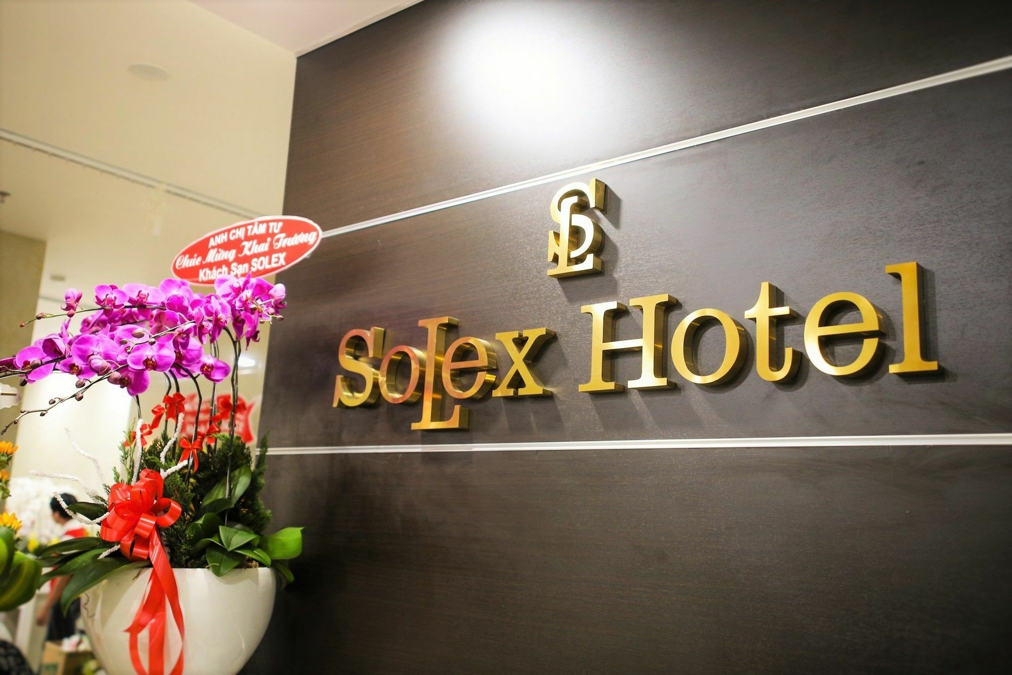 Solex Hotel Хошимин Экстерьер фото
